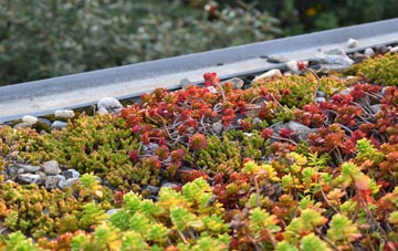 the cost of Shouldham Thorpe green roof installation