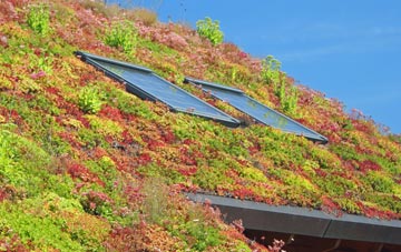 Shouldham Thorpe living roof systems